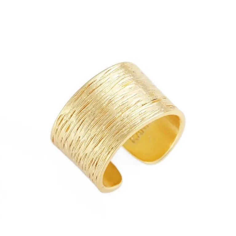 Exclusive Jewelry Offers – Shine For Less Brushed Ring