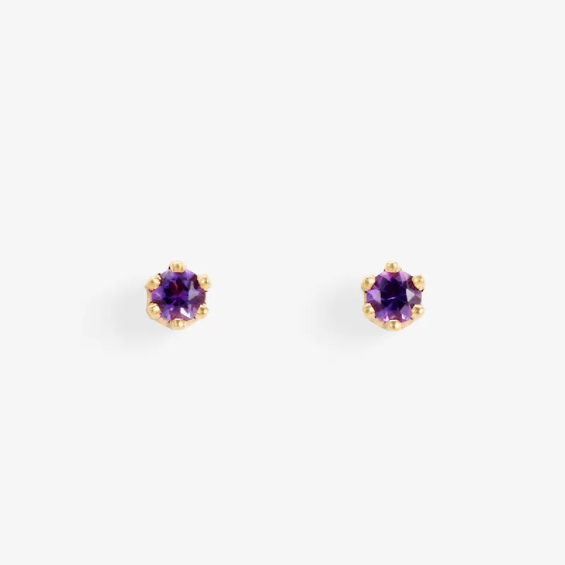 Make Every Moment Shine – Jewelry Discounts Available Baby Amethyst Studs | E1901AM