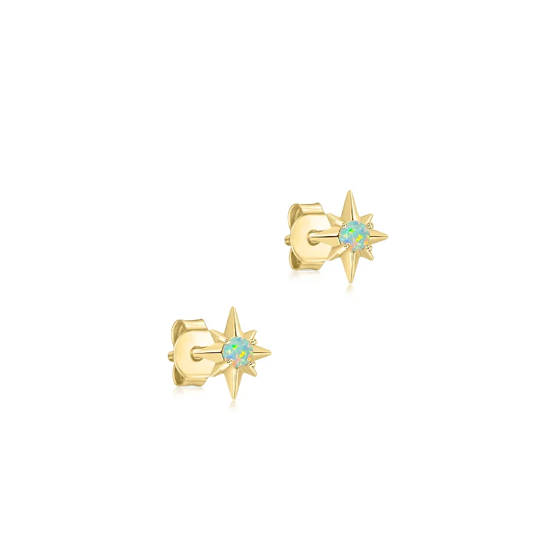 Limited-Time Jewelry Sale – Elegant Styles At Less Opal Star Earrings