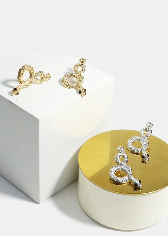 Make Your Outfit Shine With Discounted Jewelry Snake Earrings