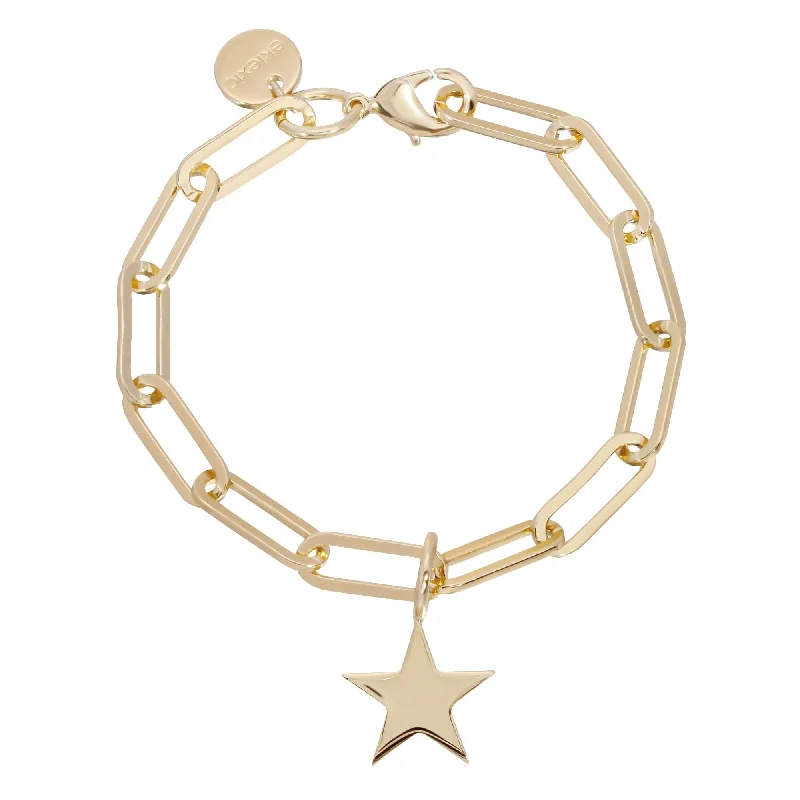Seasonal Jewelry Deals – Elevate Your Style Samara & Large Elongated Link Chain Bracelet