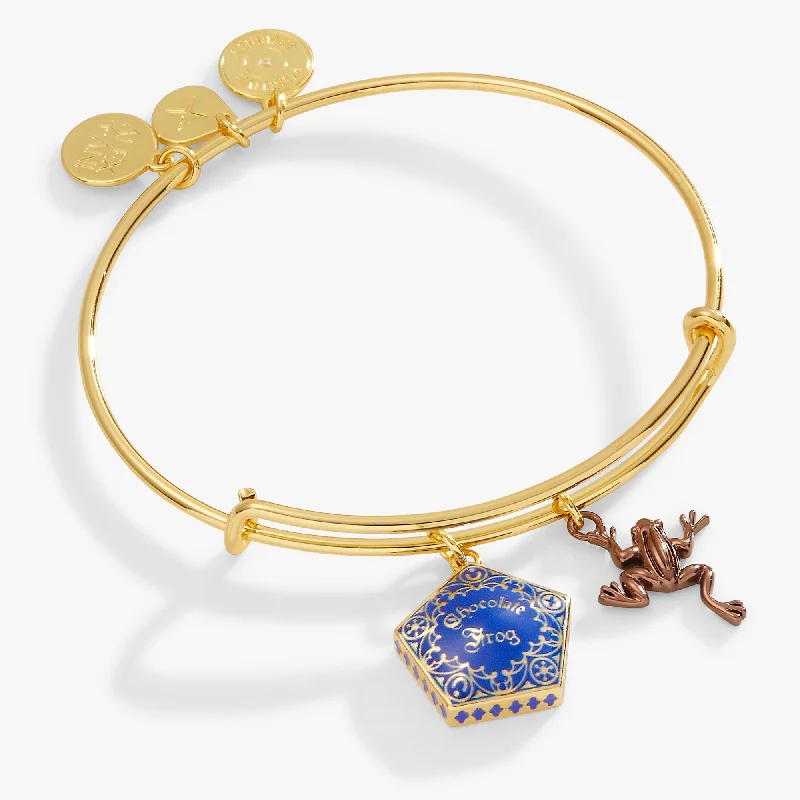 Dazzle With Discounts – Shop Jewelry On Sale Harry Potter™ Chocolate Frog Two-Charm Bangle