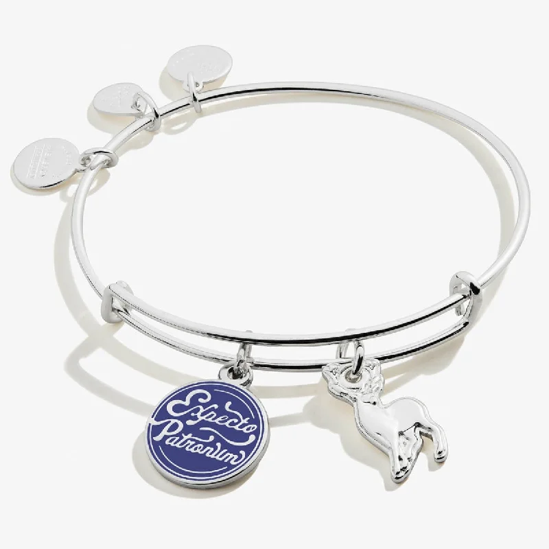 Your Dream Jewelry At Dream Prices Harry Potter™ Expecto Patronum Duo Charm Bangle