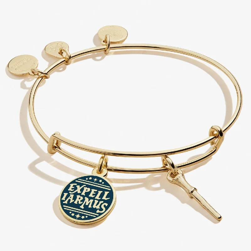 The Perfect Accessory For Less – Jewelry Sale Live Harry Potter™ Expelliarmus Duo Charm Bangle