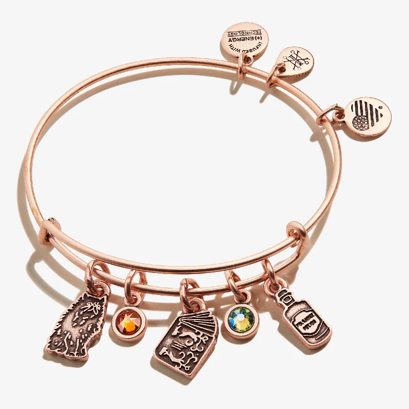 Timeless Elegance Now At Special Discounts Harry Potter™ Hermione Multi-Charm Bangle