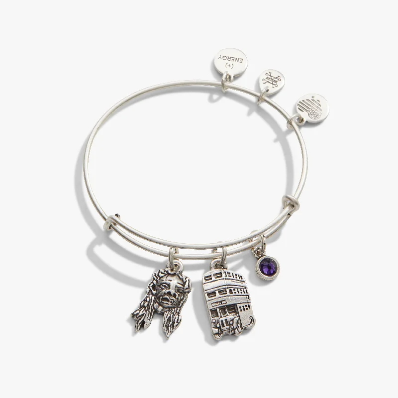 Limited Stock On Premium Jewelry At Low Prices Harry Potter™ Knight Bus Trio Charm Bangle