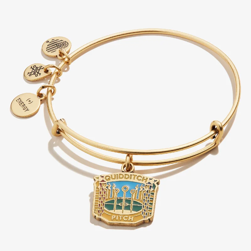 Shop Dazzling Jewelry With Special Promotional Discounts Harry Potter™ 'Quidditch Pitch' Charm Bangle